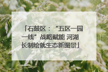 石鼓区：“五区一园一线”战略赋能 河湖长制绘就生态新图景