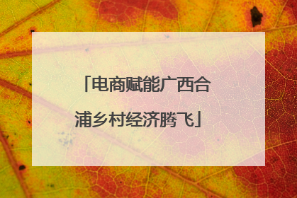 电商赋能广西合浦乡村经济腾飞
