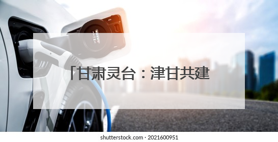 甘肃灵台：津甘共建下的针灸小镇振兴记
