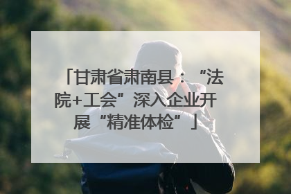 甘肃省肃南县：“法院+工会”深入企业开展“精准体检”