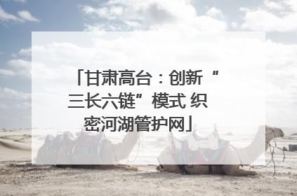 甘肃高台：创新“三长六链”模式 织密河湖管护网
