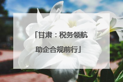 甘肃：税务领航 助企合规前行