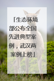 生态环境部公布全国先进典型案例，武汉两案例上榜