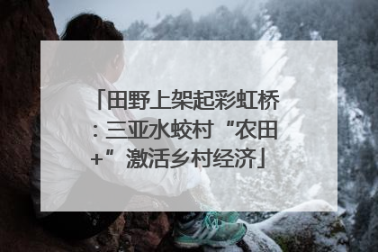 田野上架起彩虹桥：三亚水蛟村“农田+”激活乡村经济