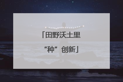 田野沃土里“种”创新