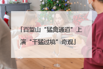 百望山“猛禽通道”上演“千猛过境”奇观
