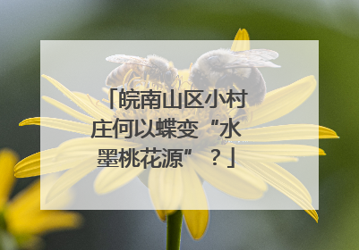 皖南山区小村庄何以蝶变“水墨桃花源”？