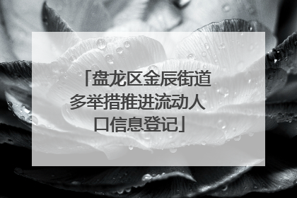 盘龙区金辰街道多举措推进流动人口信息登记