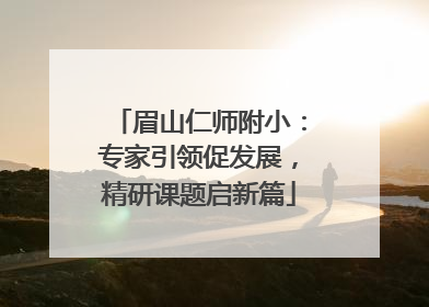 眉山仁师附小：专家引领促发展，精研课题启新篇