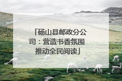 砀山县邮政分公司：营造书香氛围 推动全民阅读
