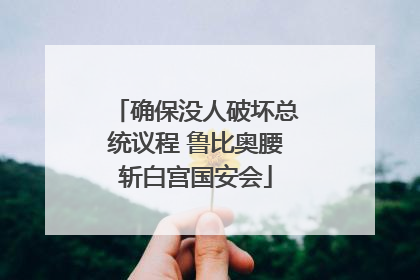 确保没人破坏总统议程 鲁比奥腰斩白宫国安会