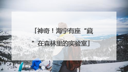 神奇！海宁有座“藏”在森林里的实验室
