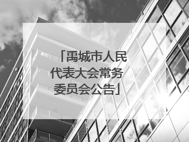 禹城市人民代表大会常务委员会公告