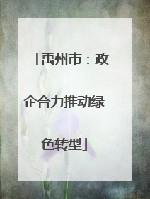 禹州市：政企合力推动绿色转型