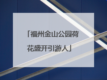 福州金山公园荷花盛开引游人