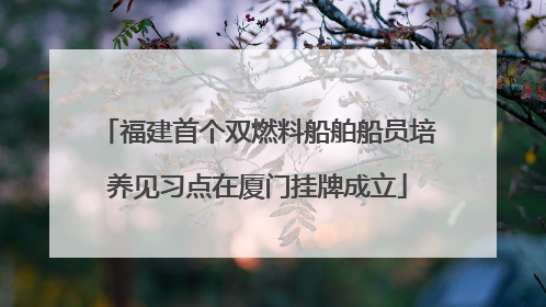 福建首个双燃料船舶船员培养见习点在厦门挂牌成立