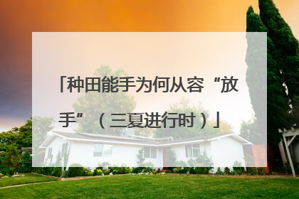 种田能手为何从容“放手”（三夏进行时）