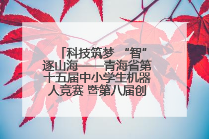 科技筑梦 “智”逐山海——青海省第十五届中小学生机器人竞赛 暨第八届创新设计大赛见闻