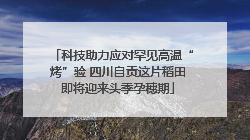 科技助力应对罕见高温“烤”验 四川自贡这片稻田即将迎来头季孕穗期