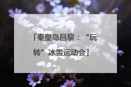 秦皇岛昌黎：“玩转”冰雪运动会
