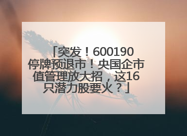 突发！600190停牌预退市！央国企市值管理放大招，这16只潜力股要火？