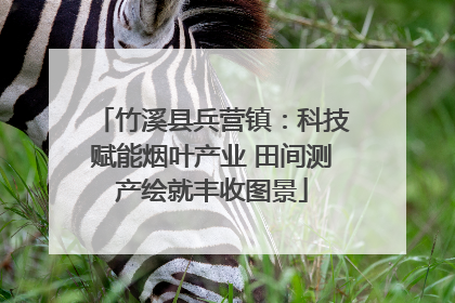 竹溪县兵营镇：科技赋能烟叶产业 田间测产绘就丰收图景