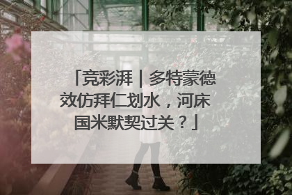 竞彩湃｜多特蒙德效仿拜仁划水，河床国米默契过关？
