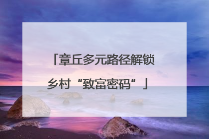 章丘多元路径解锁乡村“致富密码”