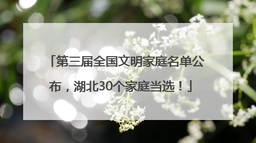 第三届全国文明家庭名单公布，湖北30个家庭当选！