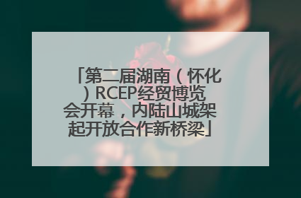 第二届湖南（怀化）RCEP经贸博览会开幕，内陆山城架起开放合作新桥梁