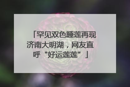 罕见双色睡莲再现济南大明湖，网友直呼“好运莲莲”