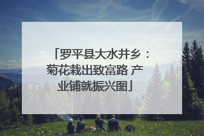 罗平县大水井乡：菊花栽出致富路 产业铺就振兴图