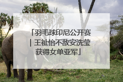 羽毛球印尼公开赛｜王祉怡不敌安洗莹 获得女单亚军