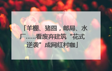 羊棚、猪圈，邮局、水厂……看废弃建筑“花式逆袭”成网红村咖
