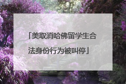 美取消哈佛留学生合法身份行为被叫停
