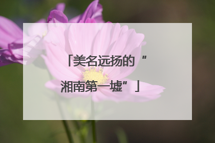 美名远扬的“湘南第一墟”