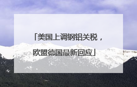 美国上调钢铝关税，欧盟德国最新回应