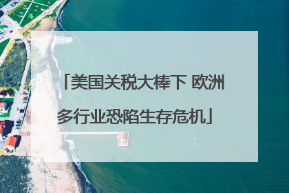 美国关税大棒下 欧洲多行业恐陷生存危机
