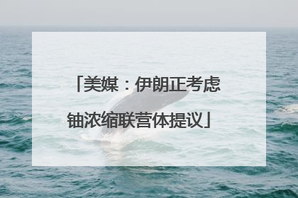 美媒：伊朗正考虑铀浓缩联营体提议