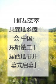 群星荟萃共襄瓜乡盛会 中国·东明第二十届西瓜节开幕式启幕