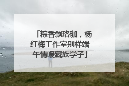 粽香飘珞珈，杨红梅工作室别样端午情暖藏族学子