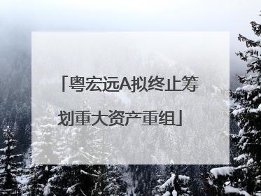 粤宏远A拟终止筹划重大资产重组