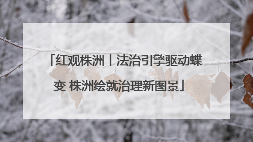红观株洲丨法治引擎驱动蝶变 株洲绘就治理新图景