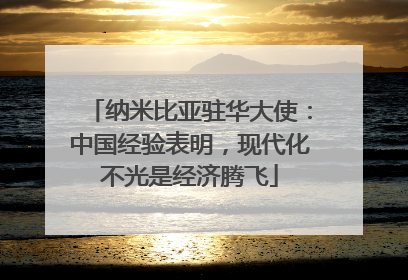 纳米比亚驻华大使：中国经验表明，现代化不光是经济腾飞
