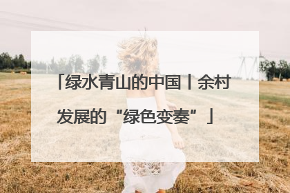 绿水青山的中国丨余村发展的“绿色变奏”