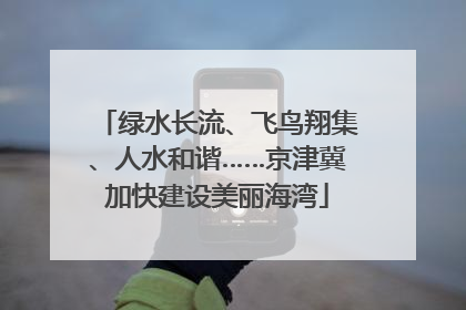 绿水长流、飞鸟翔集、人水和谐……京津冀加快建设美丽海湾