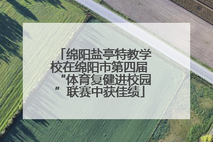 绵阳盐亭特教学校在绵阳市第四届“体育复健进校园”联赛中获佳绩