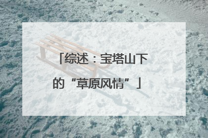 综述：宝塔山下的“草原风情”