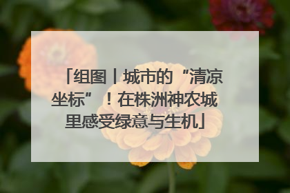 组图丨城市的“清凉坐标”！在株洲神农城里感受绿意与生机