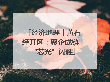 经济地理丨黄石经开区：聚企成链“芯光”闪耀